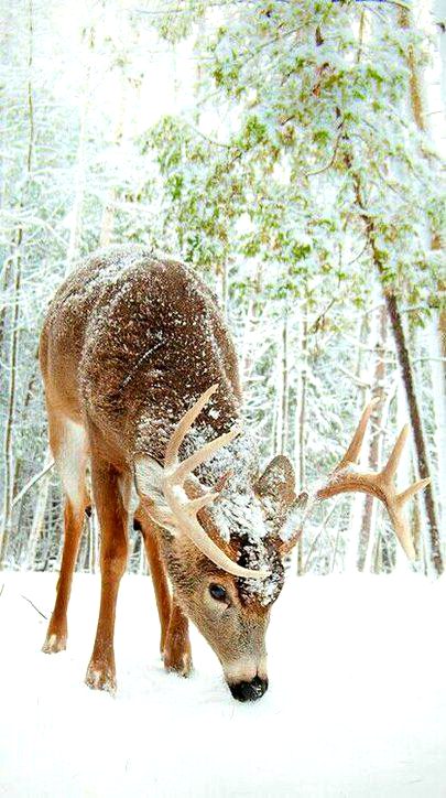 Beautiful Nature image