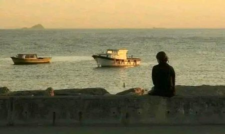 Beautiful Nature image