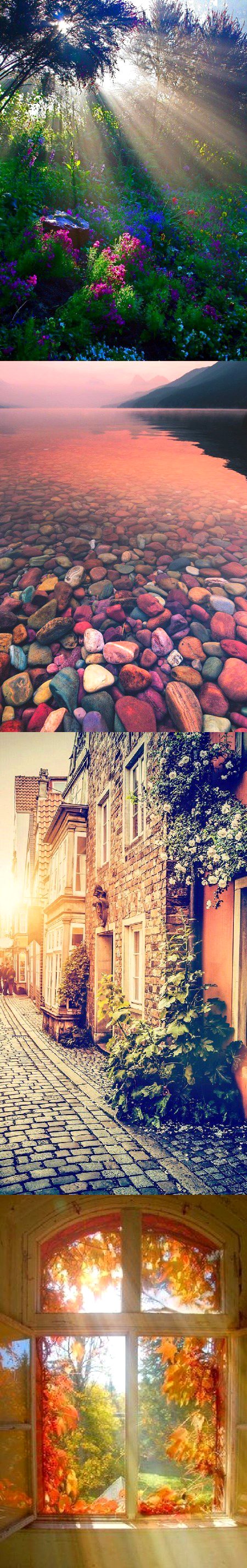 Beautiful Nature image