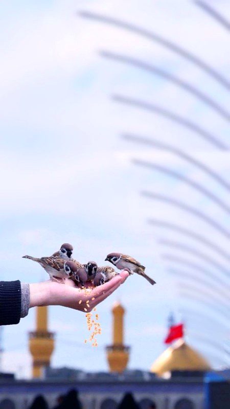 Beautiful Nature image