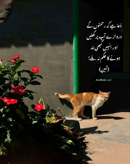 Motivational Quotes image