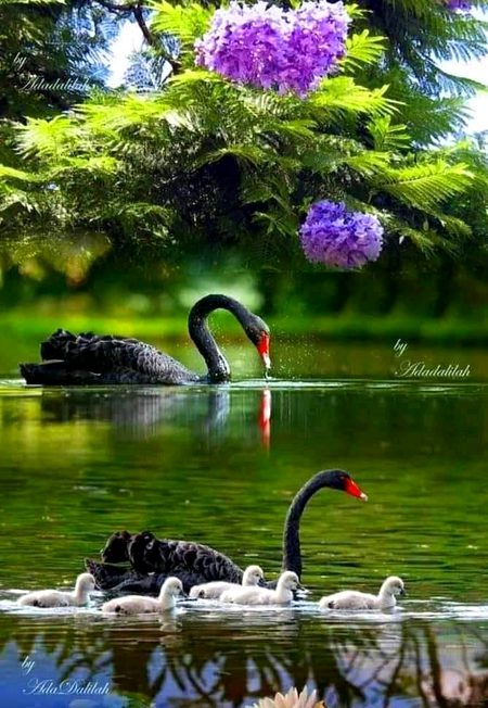 Beautiful Nature image