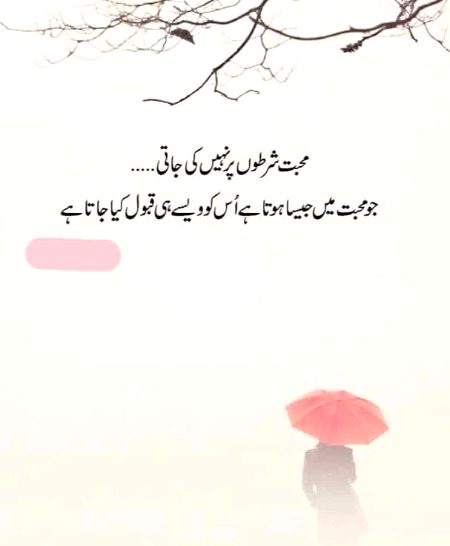 bilkul✨