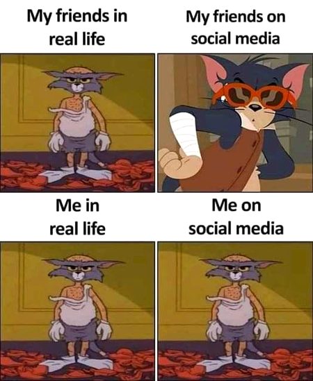 🌞🪷🌷🌹🪄🌺....