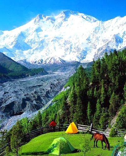 Beautiful Nature image