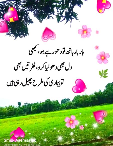 Life advise