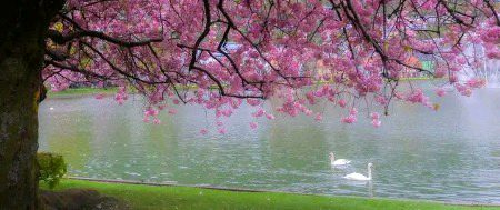 Beautiful Nature image