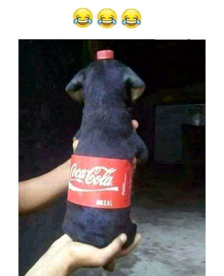 Memes & Satire image