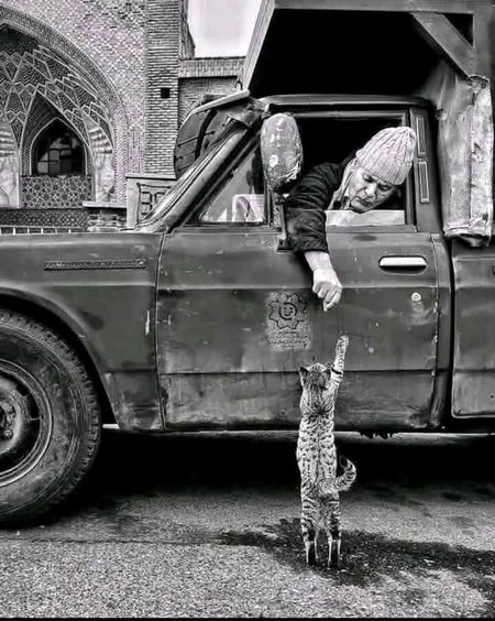 میں سوچتا ہوں کہ خوش انجامی کی کیفیت کیسی ہوگی اس شخص کے لیے
جسے ہمیشہ راستہ دھوکہ دیتا رہا ہو🖤🥀