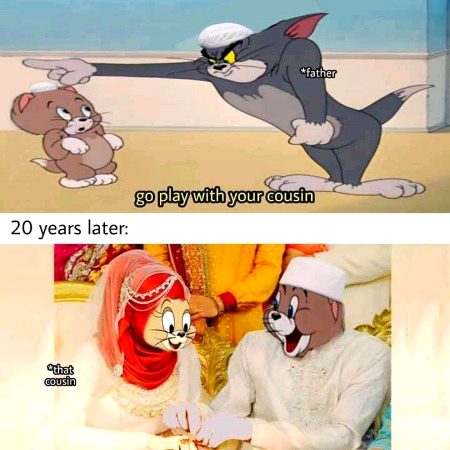 Memes & Satire image