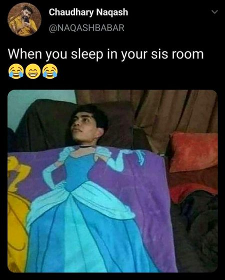 Memes & Satire image