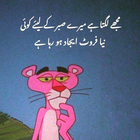 Memes & Satire image