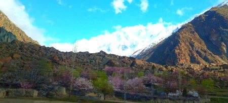 Beautiful Nature image