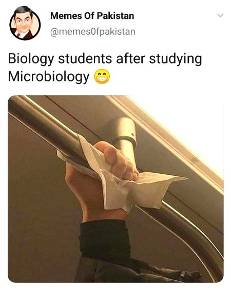 Memes & Satire image