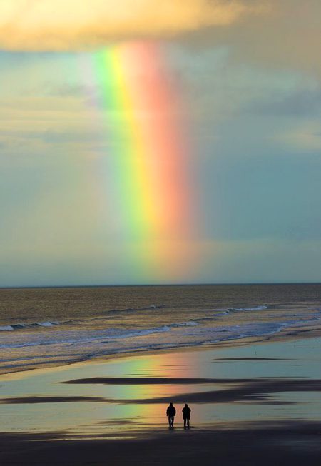 Beautiful Nature image