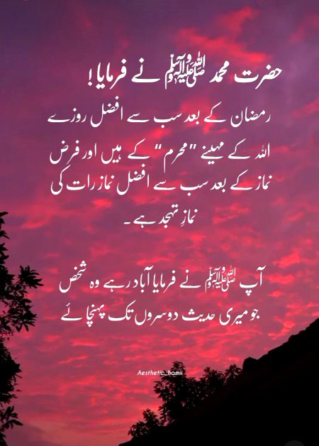 Islamic Quotes image