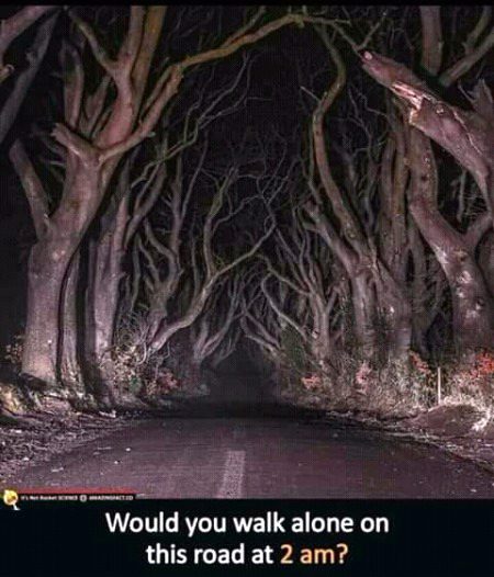 This is terribly dangerous to walking alone at night...