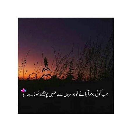 🍁Zoq_Shab🍁