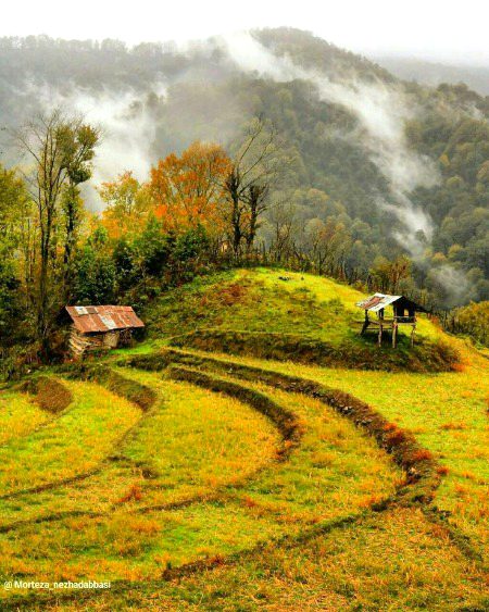Beautiful Nature image