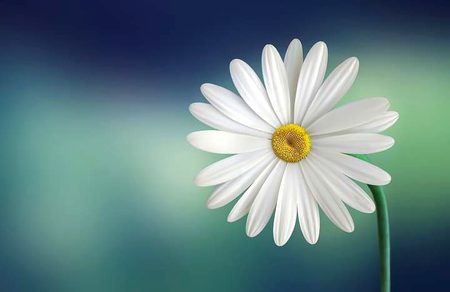 Beautiful Nature image