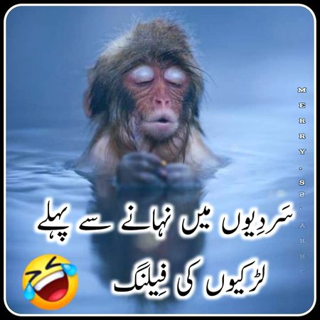 Memes & Satire image