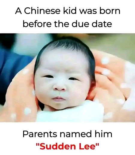 Memes & Satire image