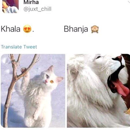 Jis ko samjh lgy , mujhy b btao...
😭