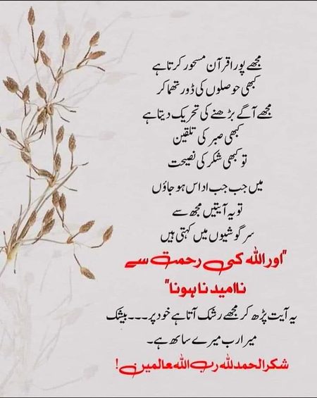 Islamic Quotes image