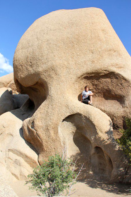 Beautiful Nature image