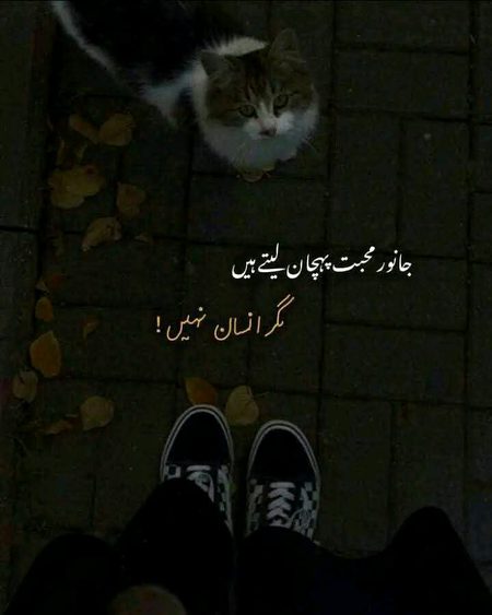 Attitude Quotes image