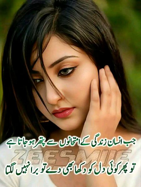 Attitude Quotes image