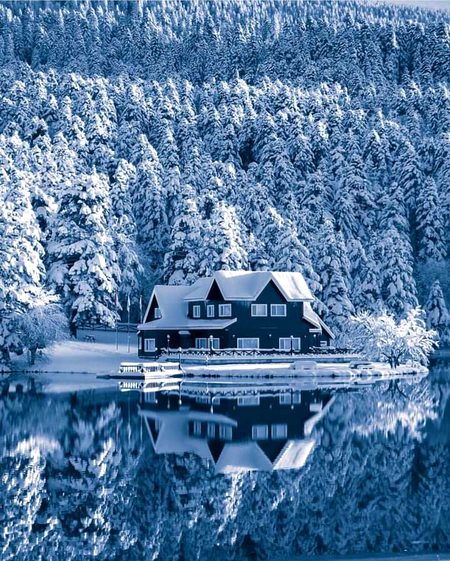 Beautiful Nature image