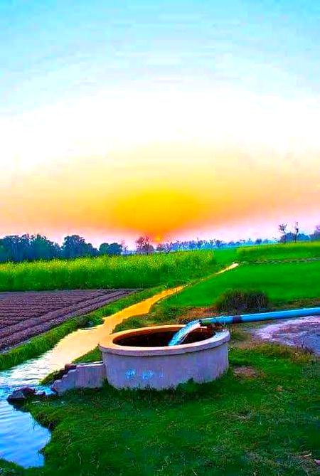 Beautiful Nature image
