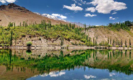 Beautiful Nature image