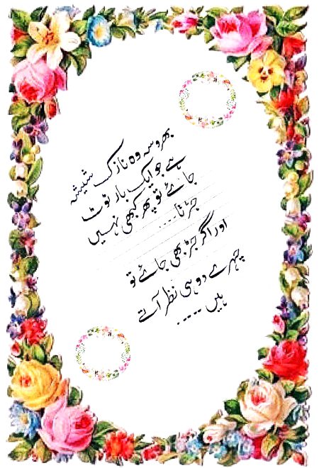 No Caption 🌺🌺