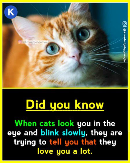 Interesting Posts image