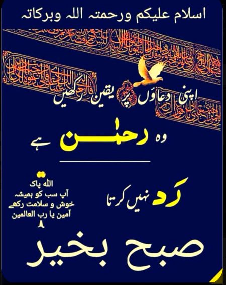 MashaAllah 🌹