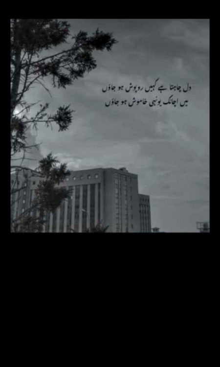 Sad Poetry image