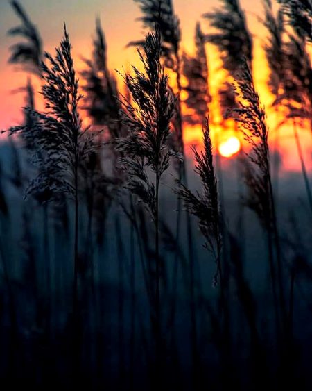 Beautiful Nature image