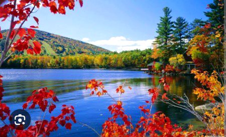 Beautiful Nature image