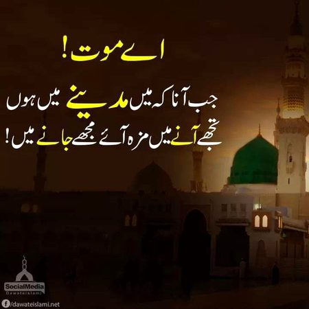Ameen  SumAmeen  👍