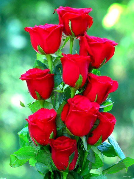 Beautiful Nature image