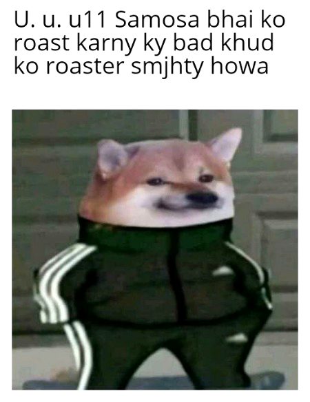 Damadam Roasting image