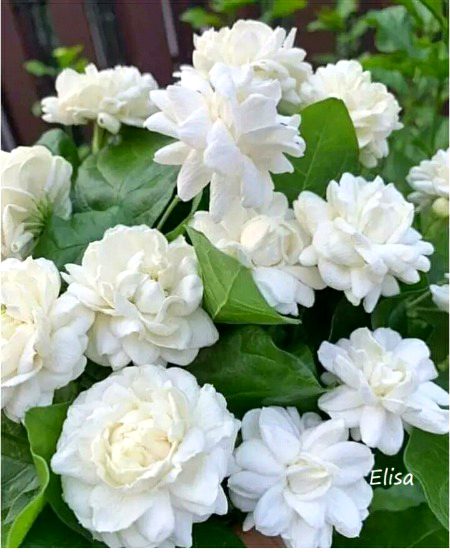 Beautiful Nature image