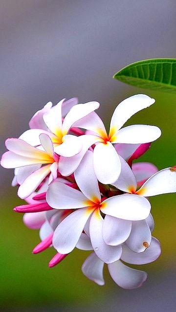 Beautiful Nature image