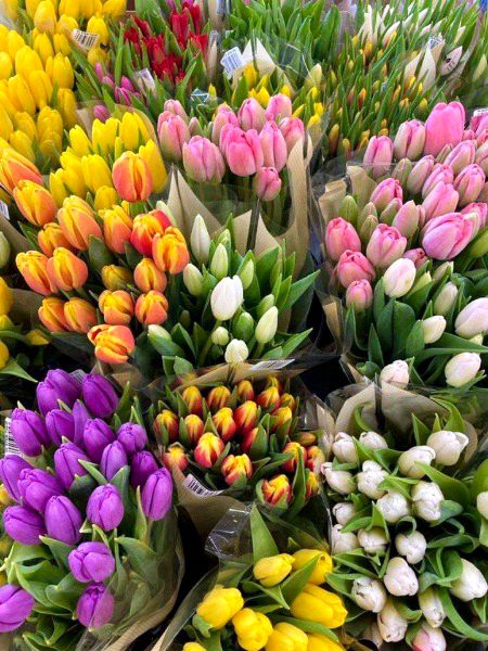 Beautiful Nature image
