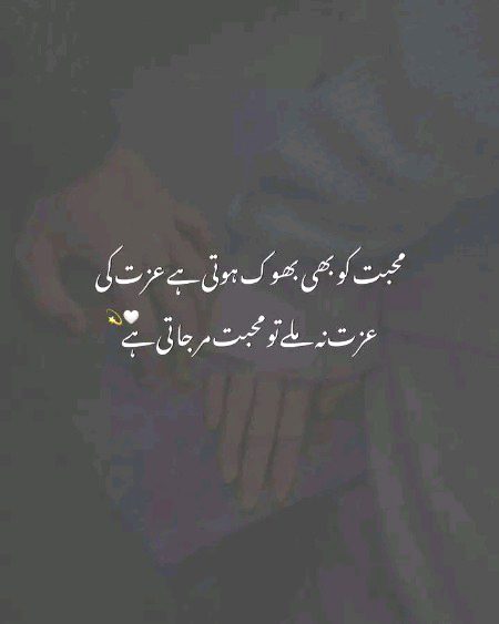 Attitude Quotes image