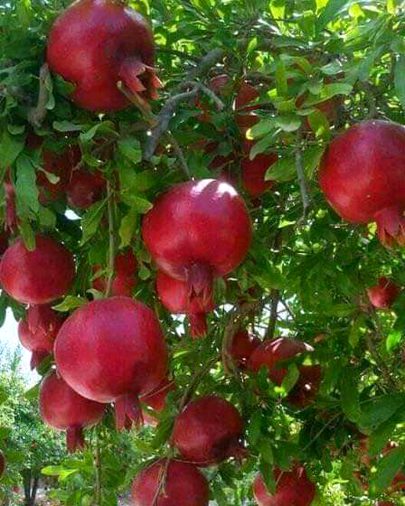 Beautiful Nature image