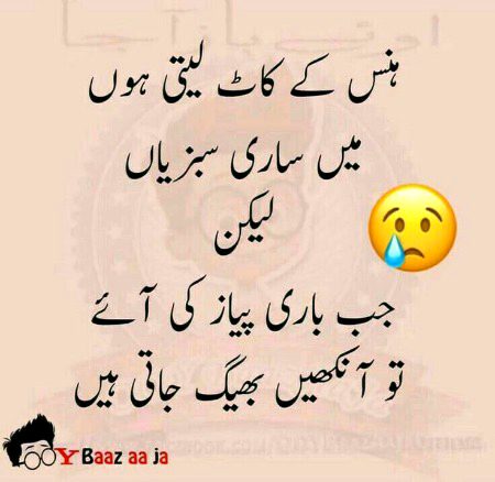 .q1 all..