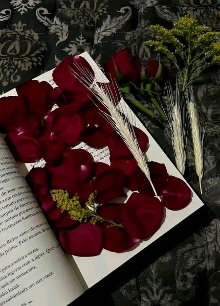 کسی کتاب میں رکھ لے "گلاب"  کر کـے مجھے ـــــ 🖤